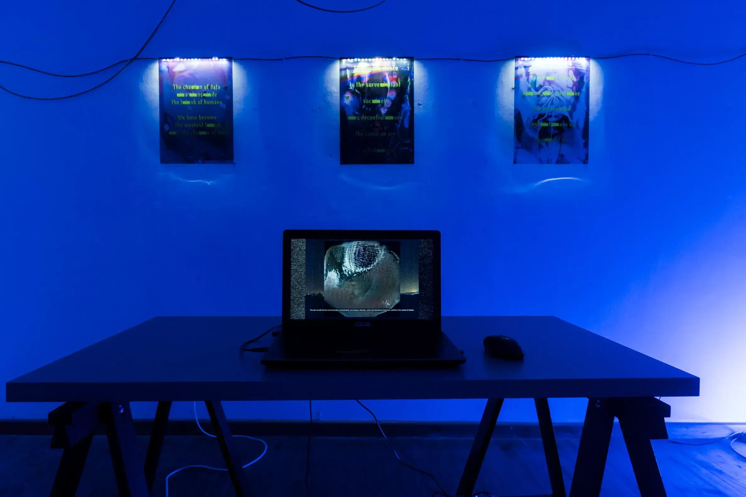 andata installation view in blue light