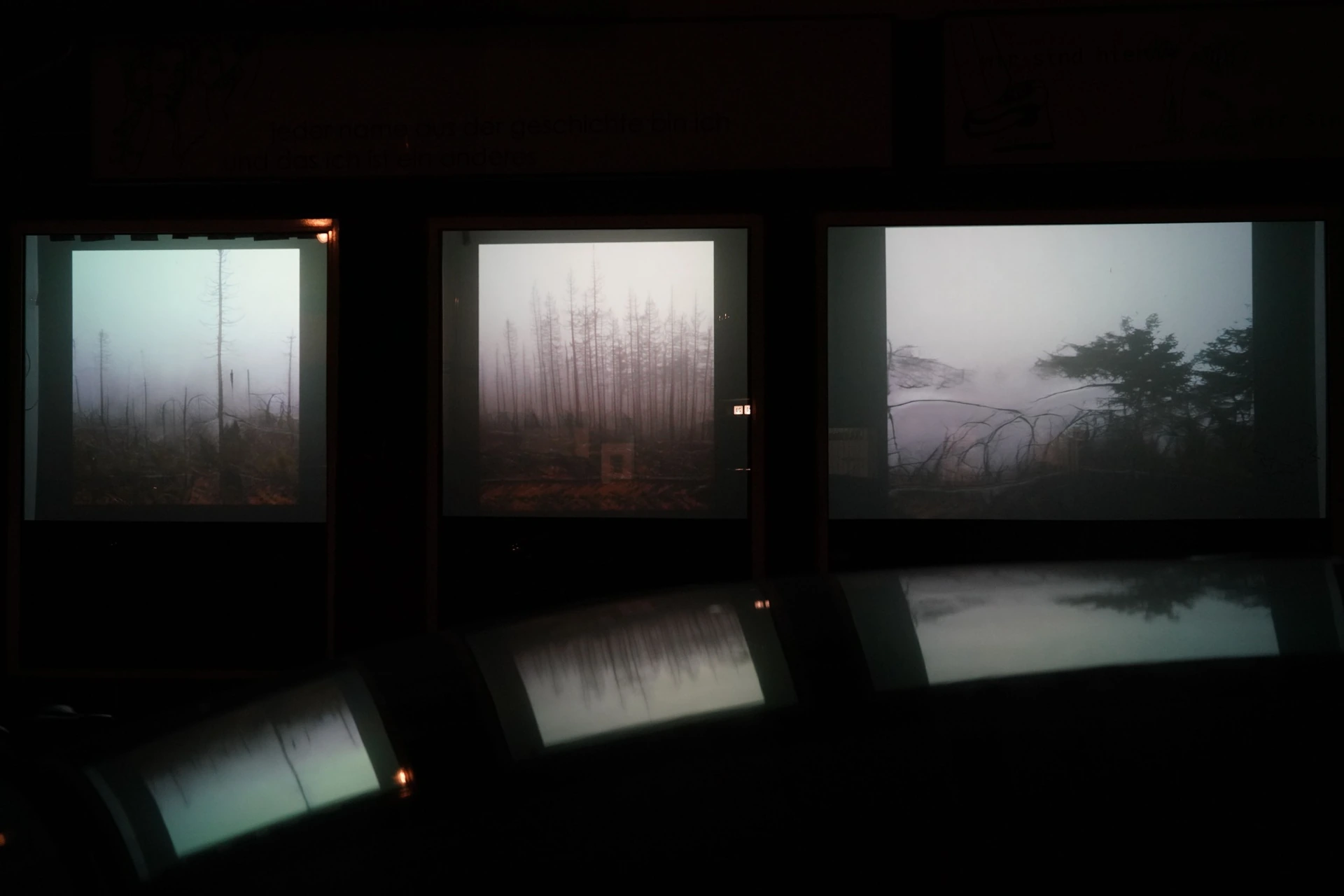Installation view / Sis/Fog, 2023