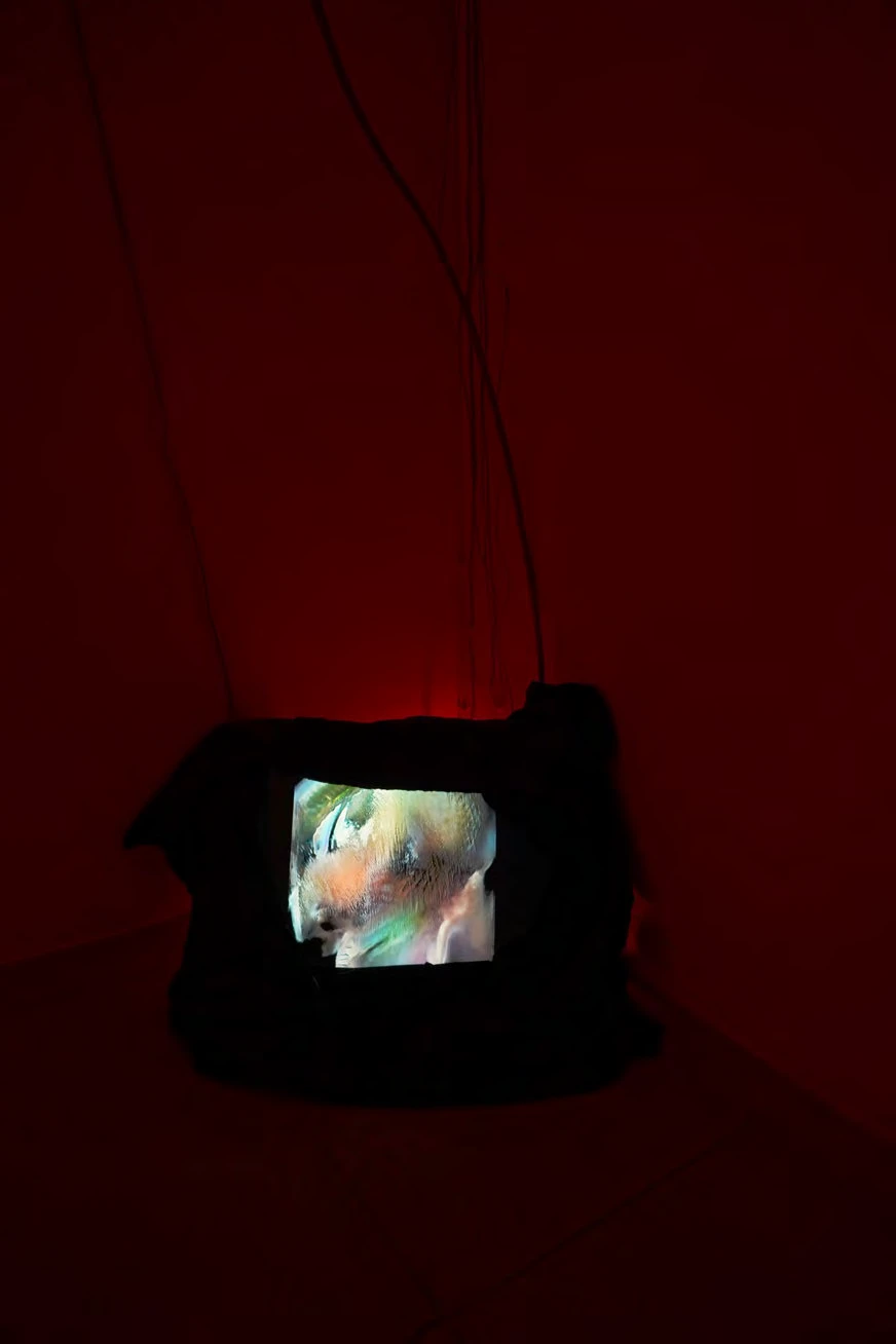 Screen and cabling detail / Eye of the Giant Squid, Barın Han, 2021