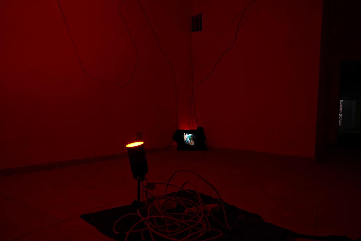 Installation view / Eye of the Giant Squid, Barın Han, 2021