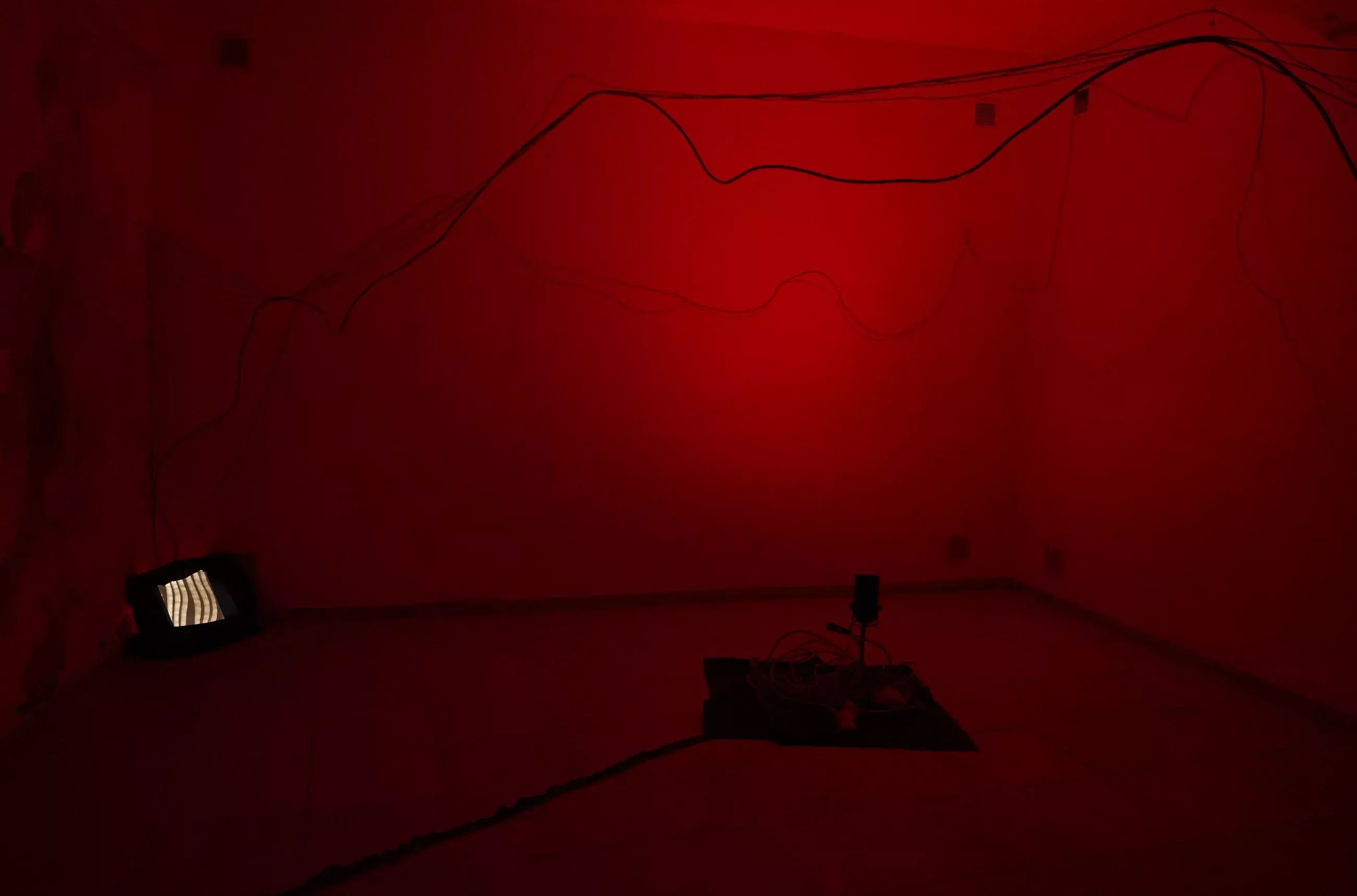 Eye of the Giant Squid installation in red light
